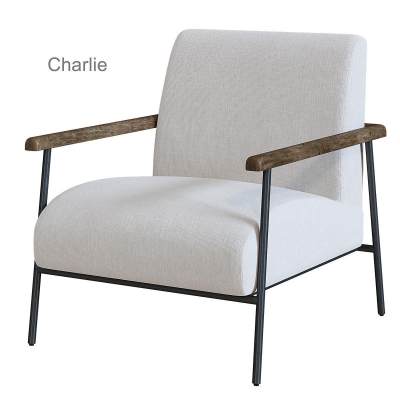 FLEXFORM现代休闲椅-2